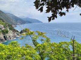 IMG_20260528_141128