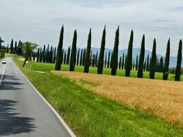 IMG_20260529_142852