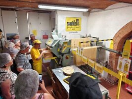 IMG_20260529_150603